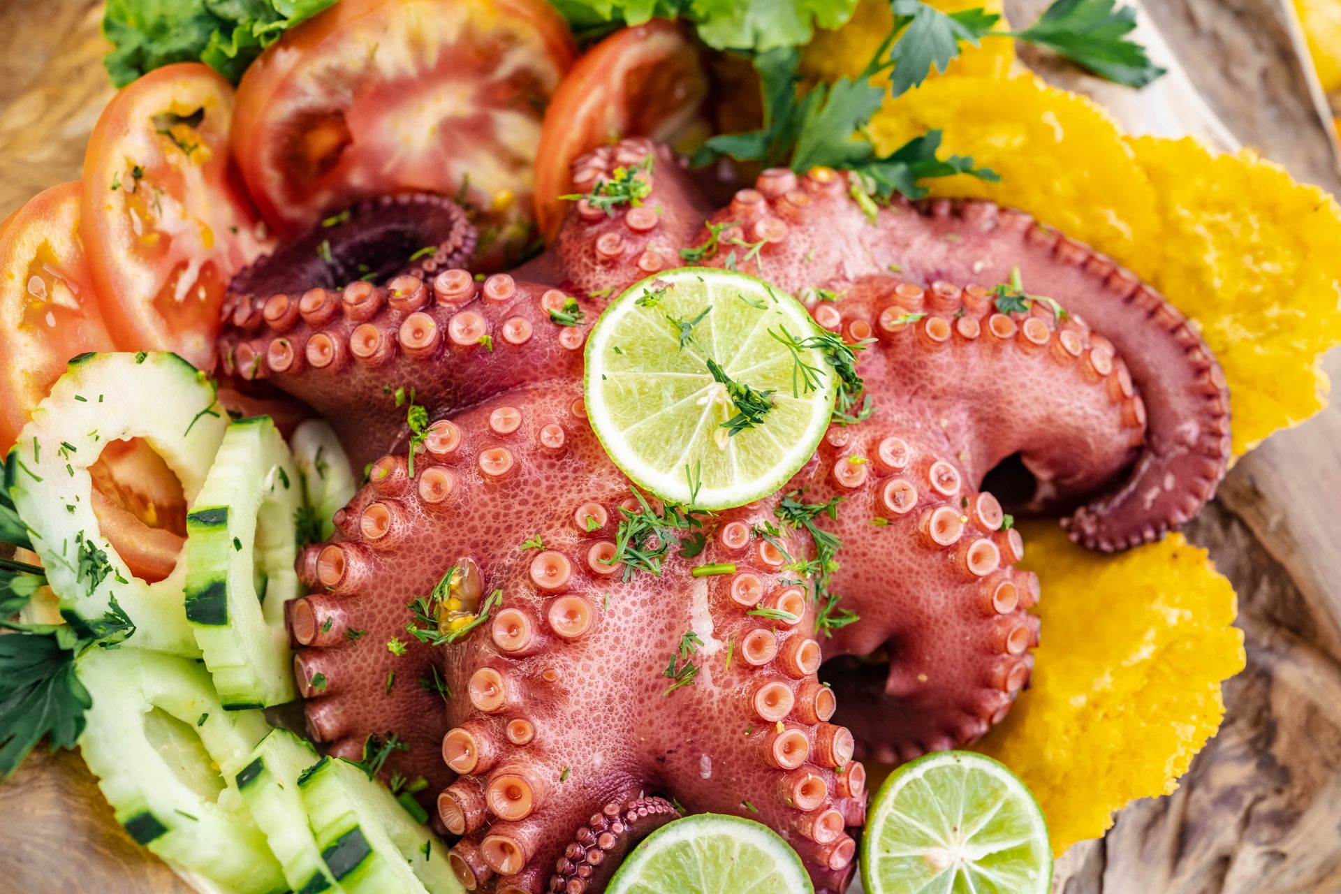 Polip, a mediterrán és ázsiai konyhák különleges alapanyaga